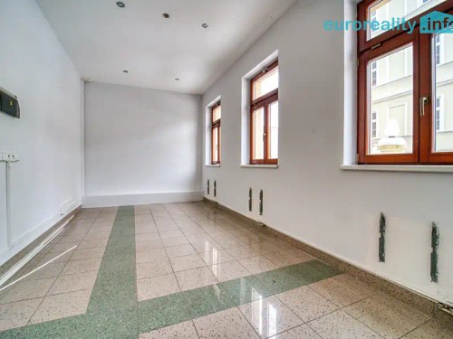 Prodej atypického bytu 301 m²