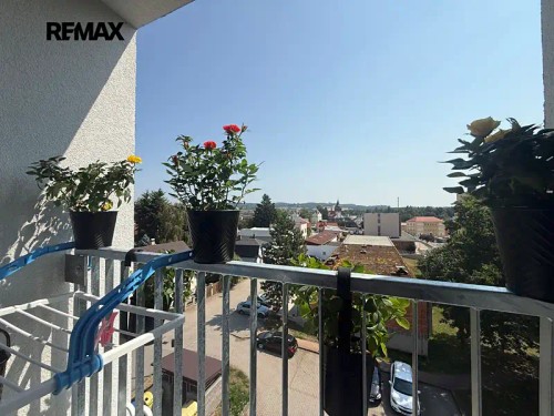 Prodej bytu 3+1 55 m²