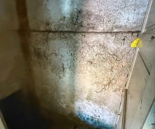 Prodej domu 90 m², pozemek 773 m²