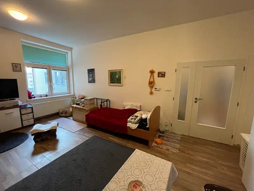 Prodaný  byt 1+1 47 m²