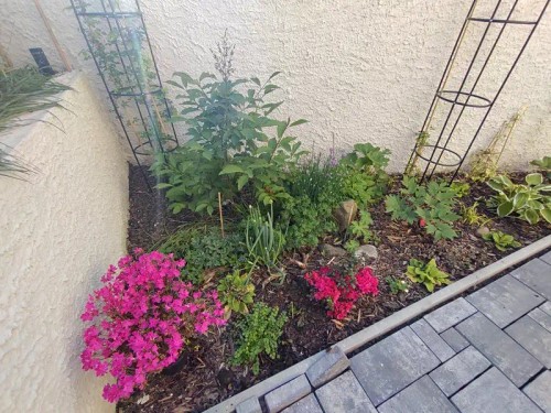 Prodej bytu 2+1 56 m²