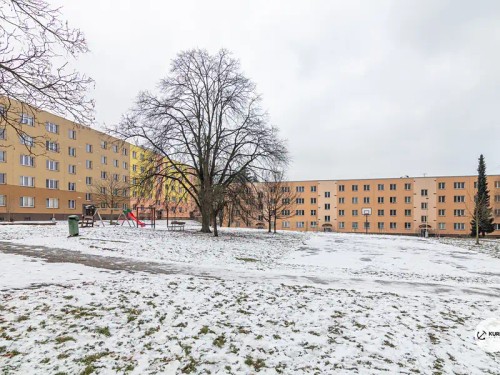 Prodej bytu 3+1 67 m²
