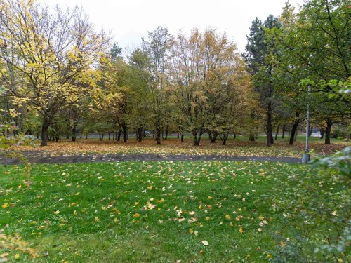 Prodaný byt 3+1 77 m²