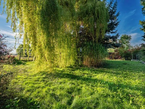 Prodej stavebního pozemku 538 m²