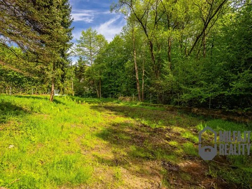 Prodej zemědělské usedlosti 235 m², pozemek 4535 m²