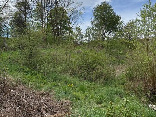 Prodej domu 93 m², pozemek 1401 m²