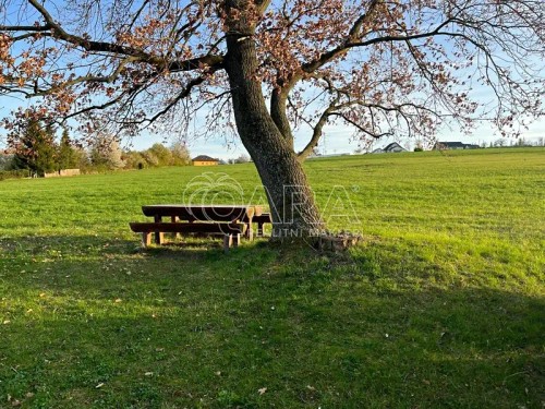 Prodej stavebního pozemku 5569 m²