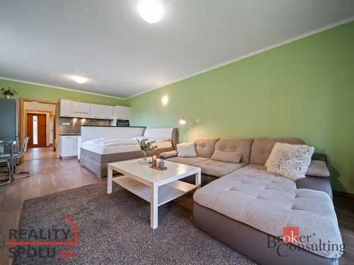 Prodaný byt 1+kk 46 m²