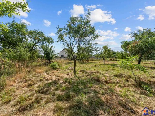 Prodej domu 150 m², pozemek 535 m²