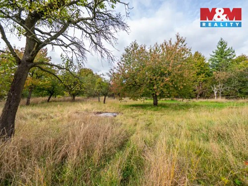 Prodej domu 169 m², pozemek 2854 m²