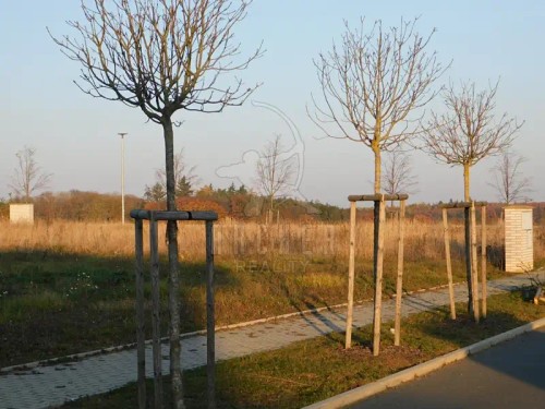 Prodej stavebního pozemku 910 m²