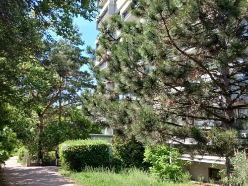 Prodaný byt 1+1 43 m²