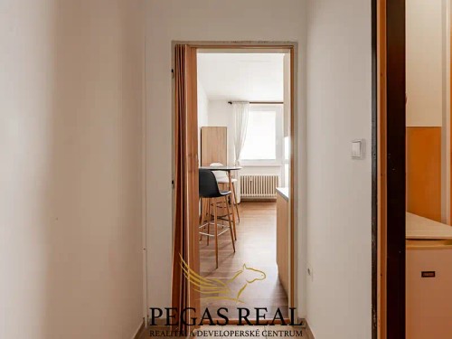 Prodaný byt 1+kk 24 m²