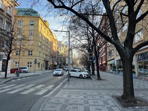 Prodej bytu 4+1 141 m²