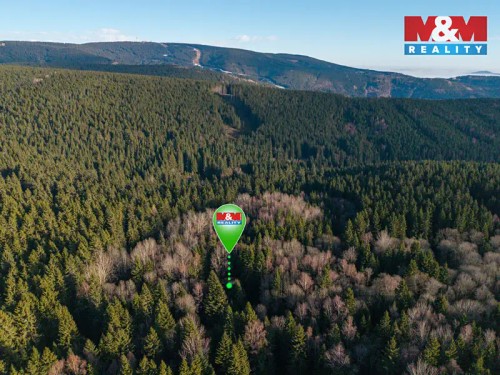 Prodej chaty 195 m², pozemek 195 m²