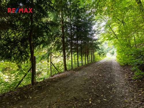 Prodej stavebního pozemku 1234 m²