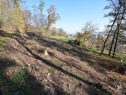 Prodej stavebního pozemku 2338 m²