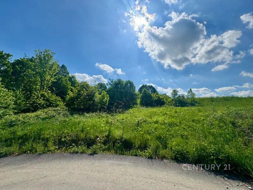Prodej stavebního pozemku 5167 m²