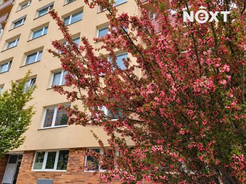Prodej bytu 3+1 66 m²