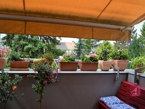 Prodaný byt 4+kk 95 m²
