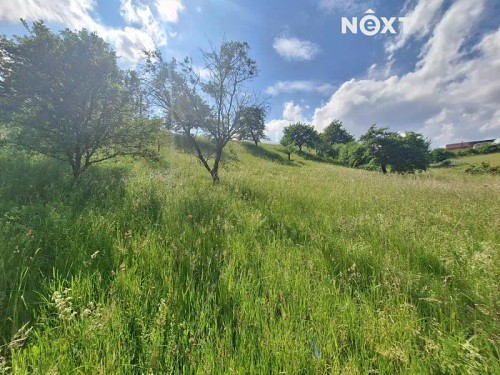 Prodej stavebního pozemku 2318 m²