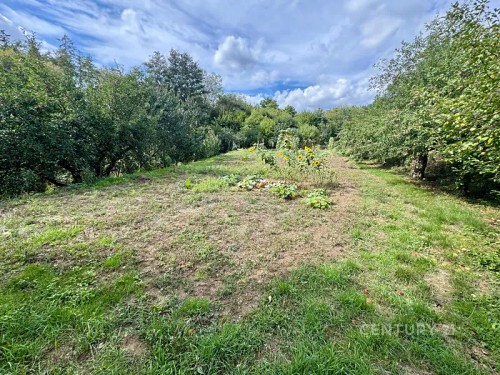 Prodej chaty 24 m², pozemek 1546 m²