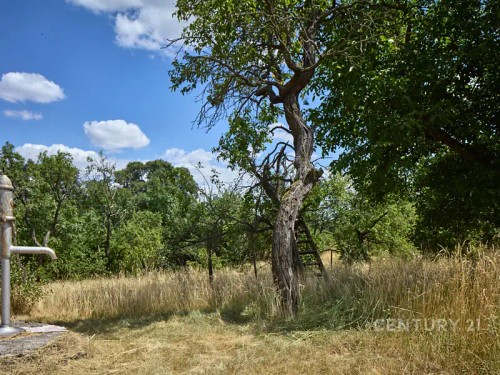 Prodej domu 80 m², pozemek 2336 m²