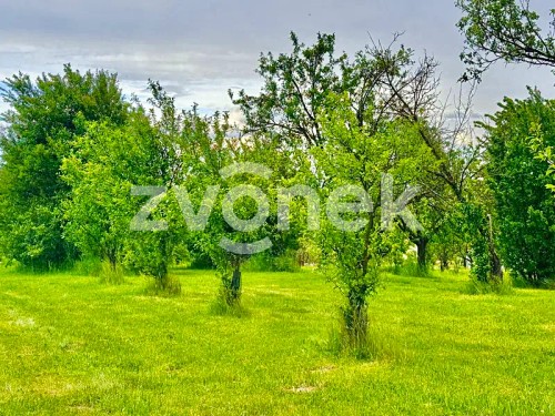 Prodej stavebního pozemku 2143 m²