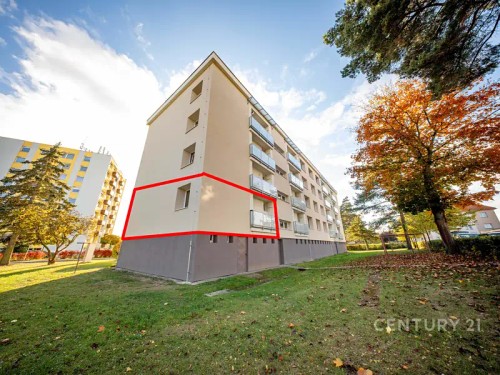 Prodej bytu 2+1 45 m²