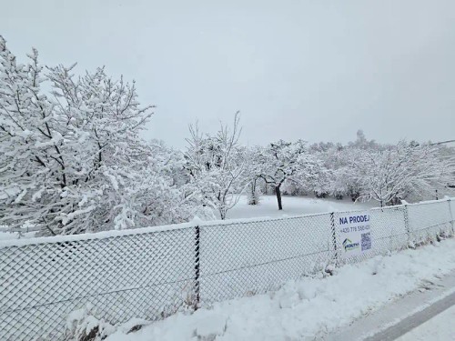 Prodej domu 110 m², pozemek 3049 m²