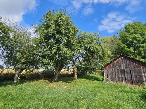 Prodej domu 100 m², pozemek 775 m²