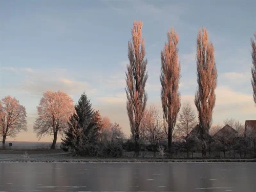 Prodej domu 145 m², pozemek 1372 m²