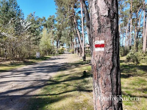 Prodej domu 234 m², pozemek 796 m²