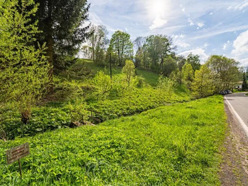 Prodej domu 169 m², pozemek 3853 m²
