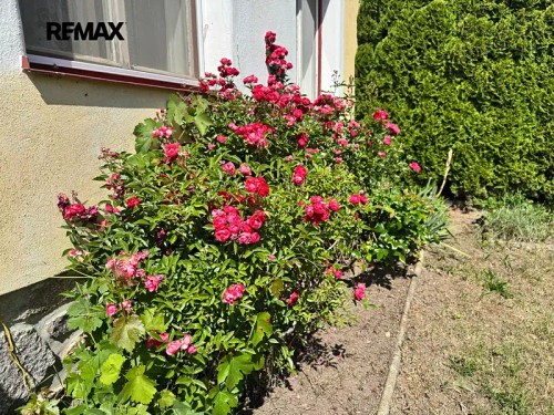 Prodej chalupy 103 m², pozemek 385 m²