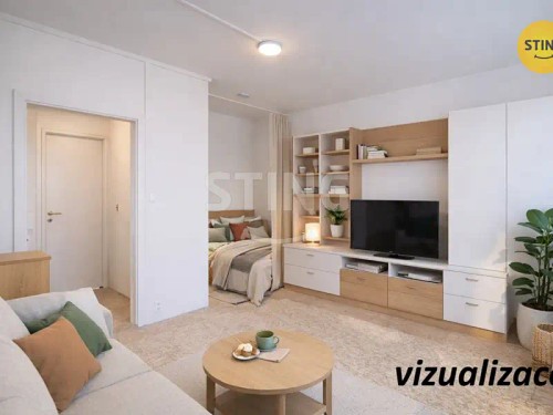 Prodej bytu 1+1 32 m²