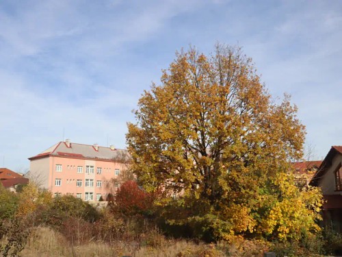 Prodaný byt 2+1 54 m²