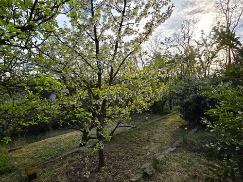 Prodej chaty 40 m², pozemek 389 m²