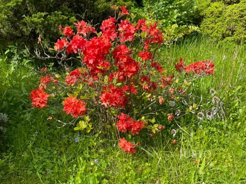 Prodej chaty 12 m², pozemek 400 m²