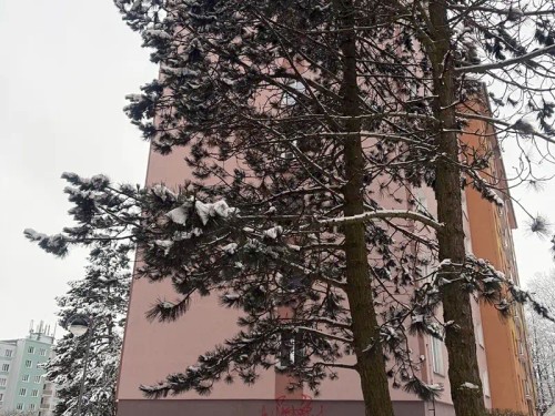 Prodej bytu 3+1 60 m²