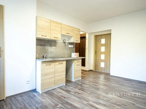 Prodej bytu 1+1 43 m²