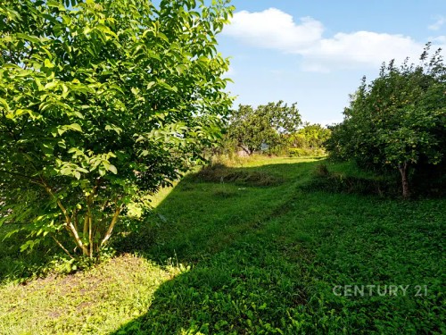 Prodej stavebního pozemku 482 m²