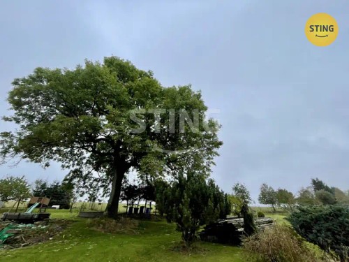 Prodej domu 98 m², pozemek 1722 m²