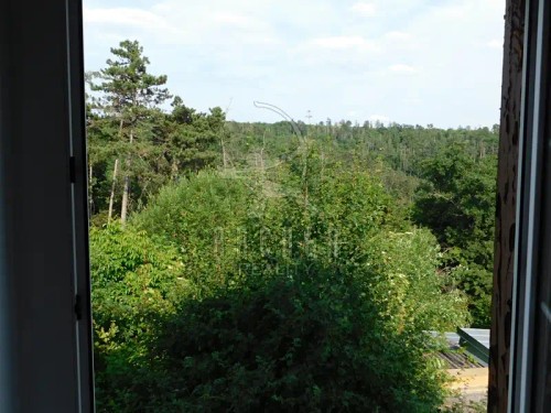 Prodej domu 291 m², pozemek 1199 m²