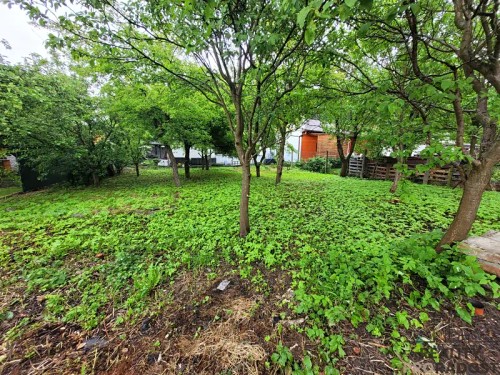 Prodej domu 270 m², pozemek 658 m²