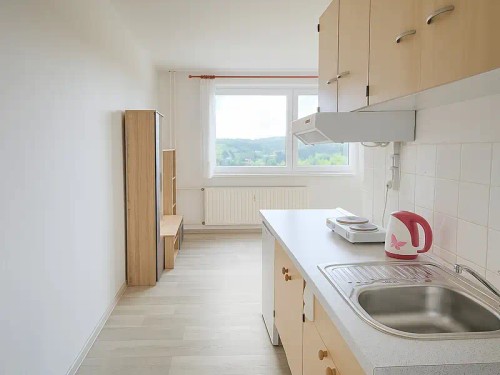 Prodaný  byt 1+kk 27 m²