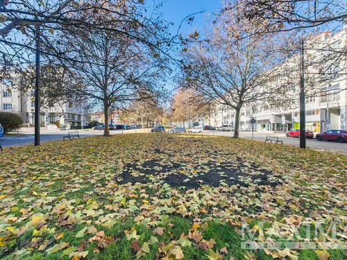 Prodaný byt 3+kk 125 m²