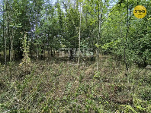 Prodej stavebního pozemku 2800 m²