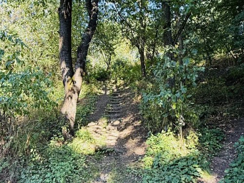 Prodej chaty 37 m², pozemek 37 m²