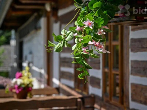 Prodej domu 50 m², pozemek 3738 m²